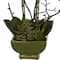 21" Orchid & Succulent Floral Arrangement in Ceramic Pot